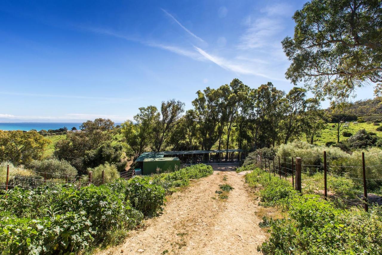 Casita Rural En Centro De Hipica Appartement Tarifa Buitenkant foto