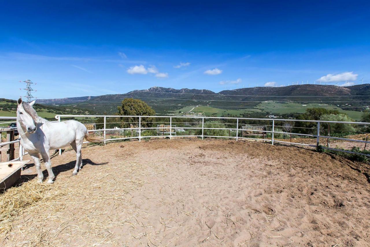 Casita Rural En Centro De Hipica Appartement Tarifa Buitenkant foto