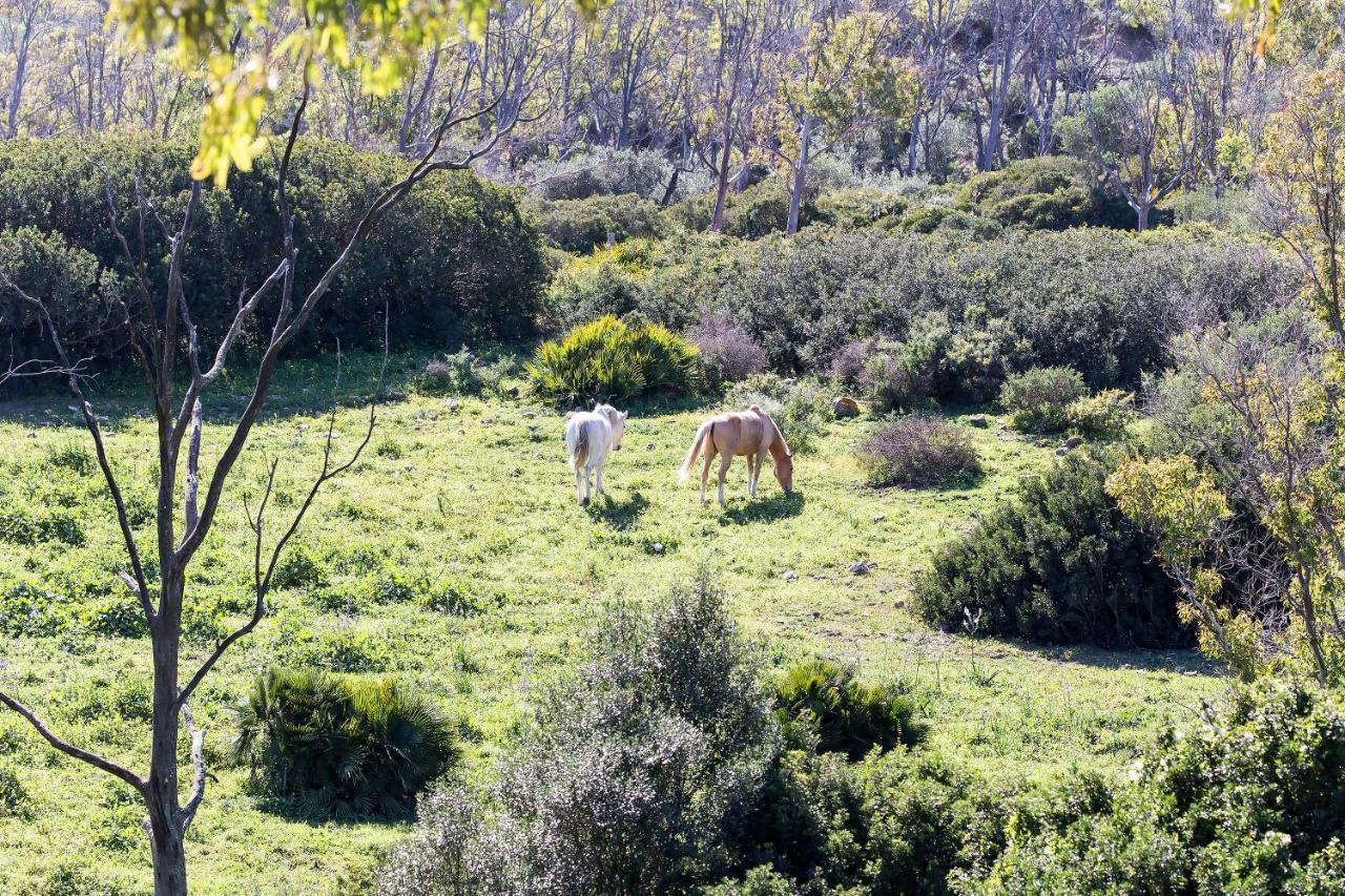 Casita Rural En Centro De Hipica Appartement Tarifa Buitenkant foto